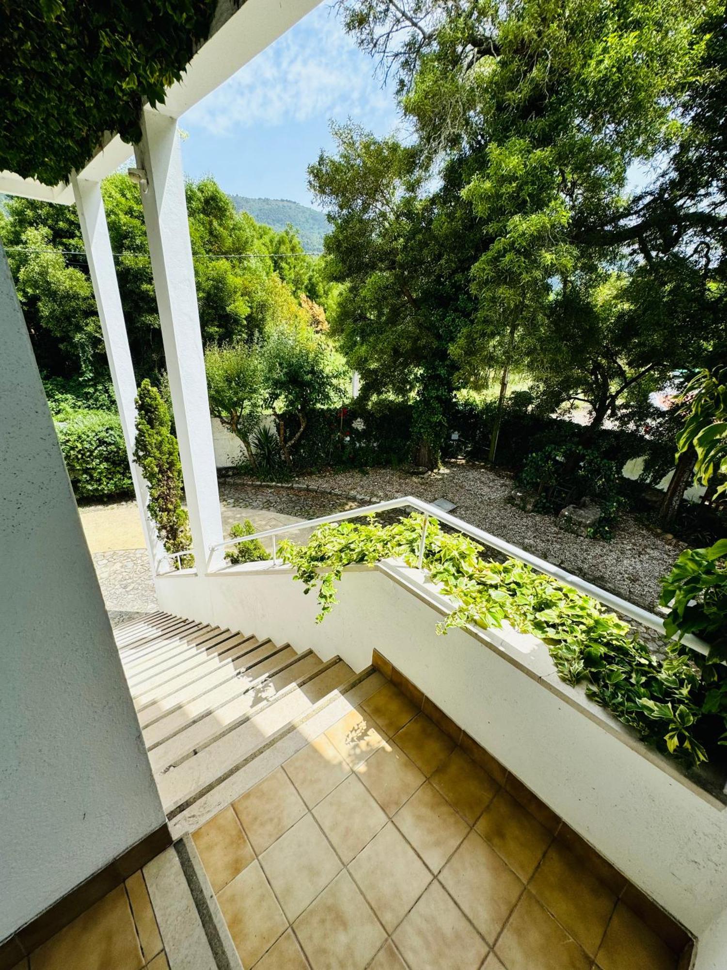 Nature & Beach Guest Rooms, Aldeamento Turistico Do Camarido Cristelo  Exterior photo